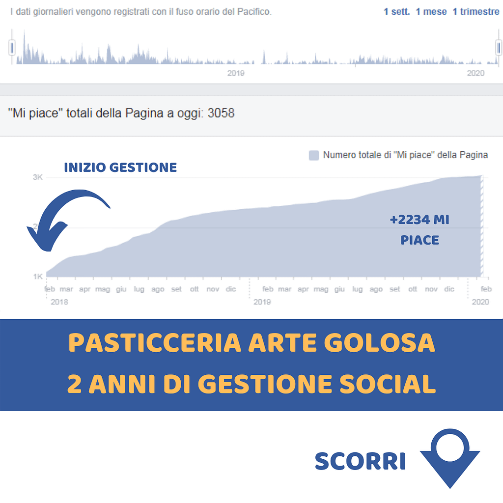 gestione social